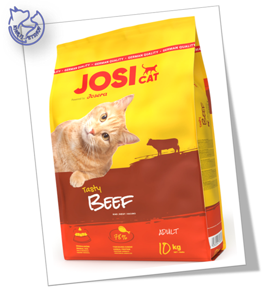 جوسی گربه 10 کیلویی